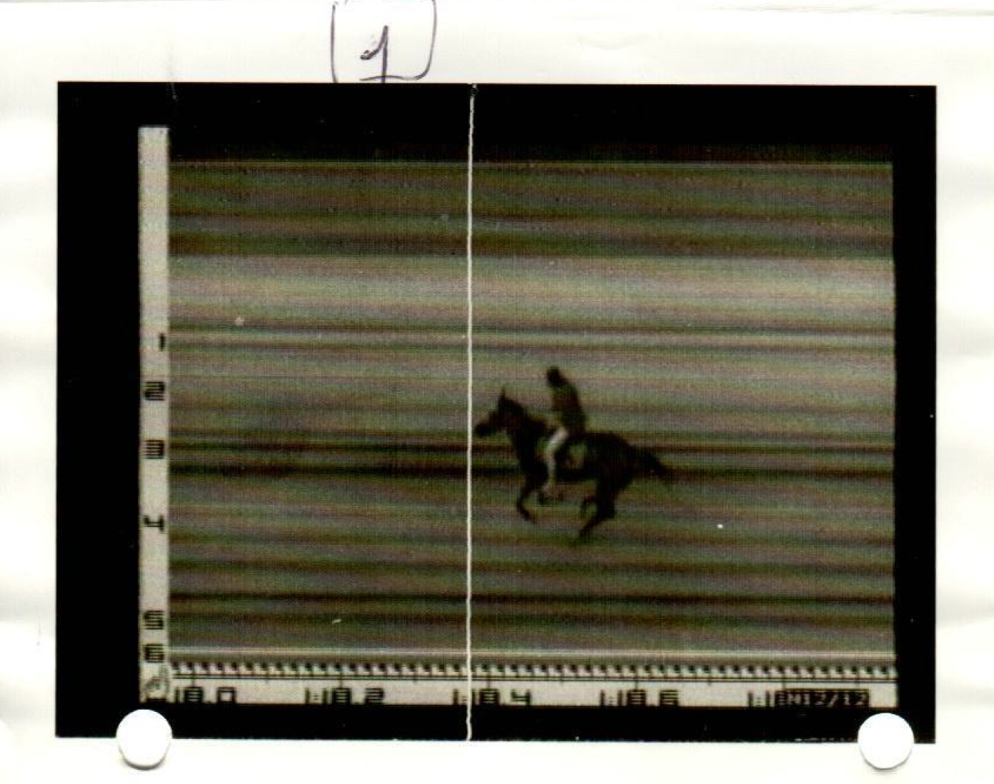 Fotofinish Gara dei Cavalli Palio 1997, edizione di agosto