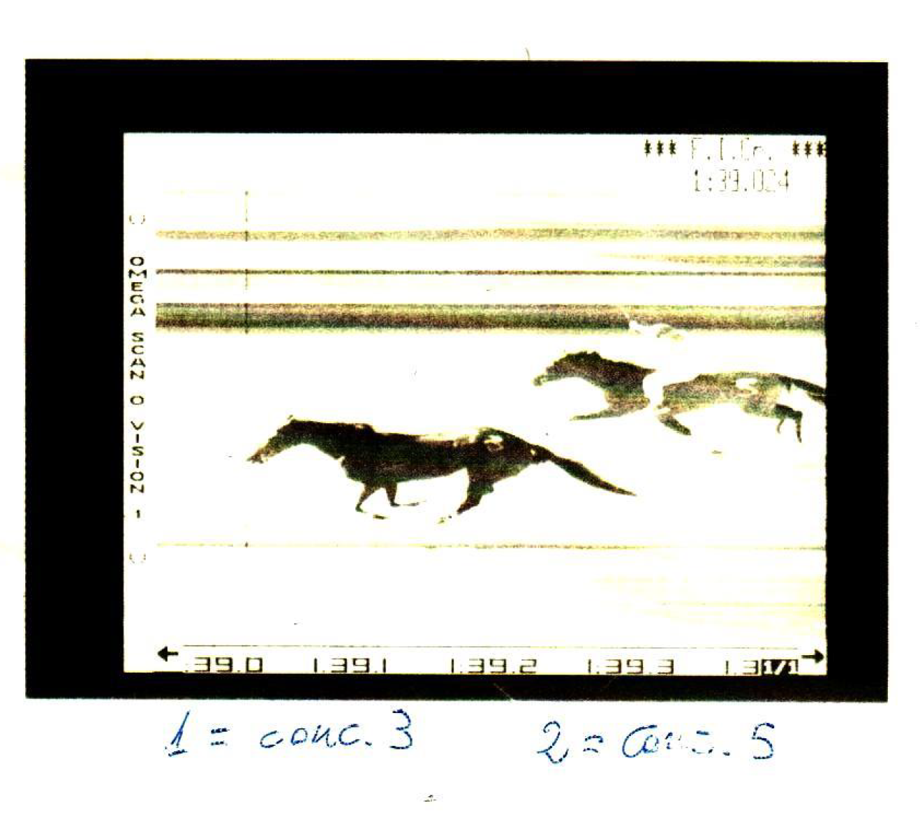 Fotofinish Gara dei Cavalli Palio 1998